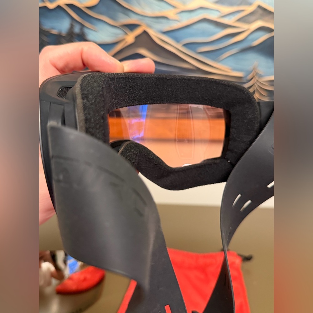 Giro Article II Snow Goggles - Picture 10 of 11